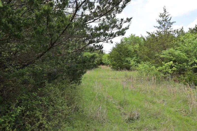 Alderson Road 10.06 acres