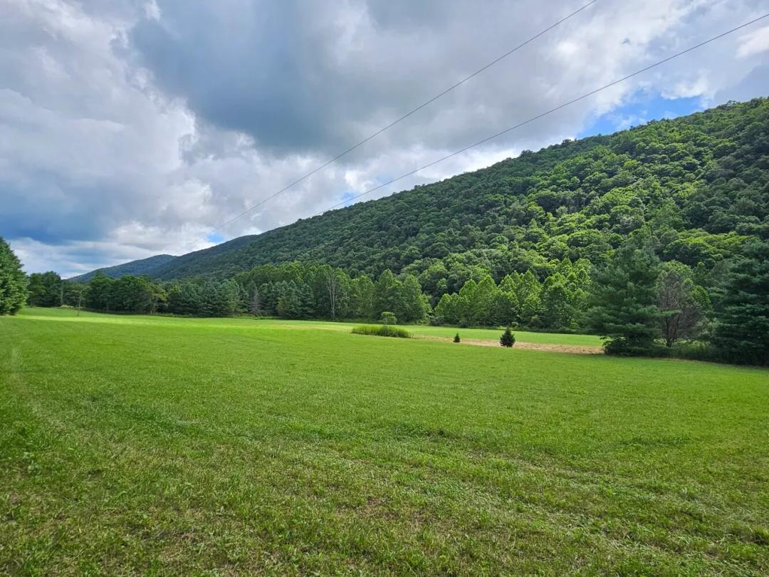 69.00 Acres at 0 Upper Back Creek Road