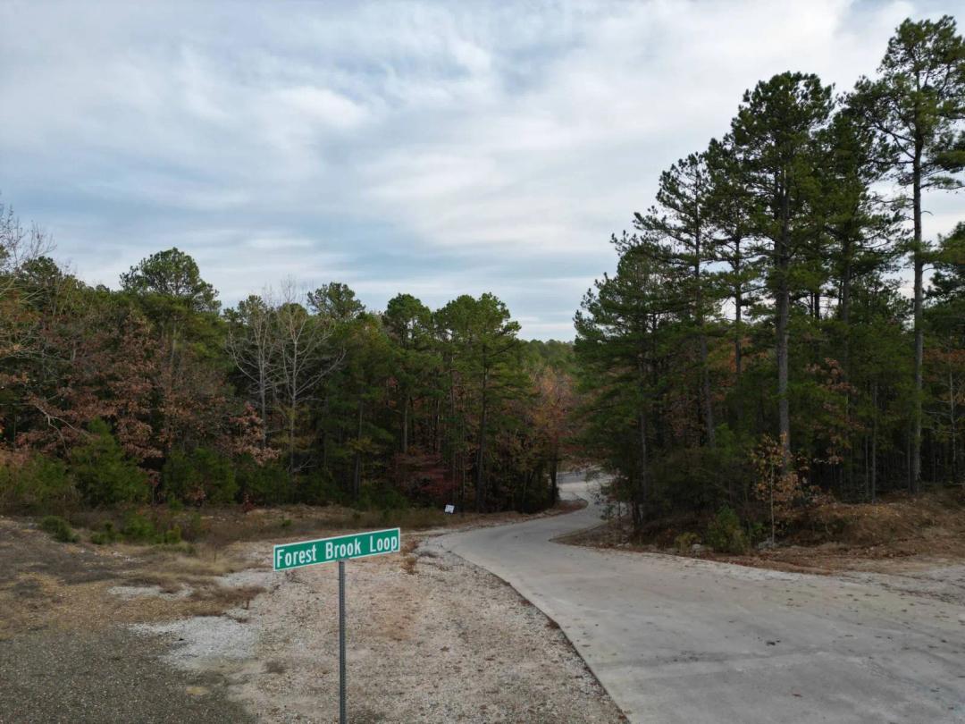 2.09 ACRE LUXURY CABIN LOT  HOCHATOWN OKLAHOMA FOR SALE!