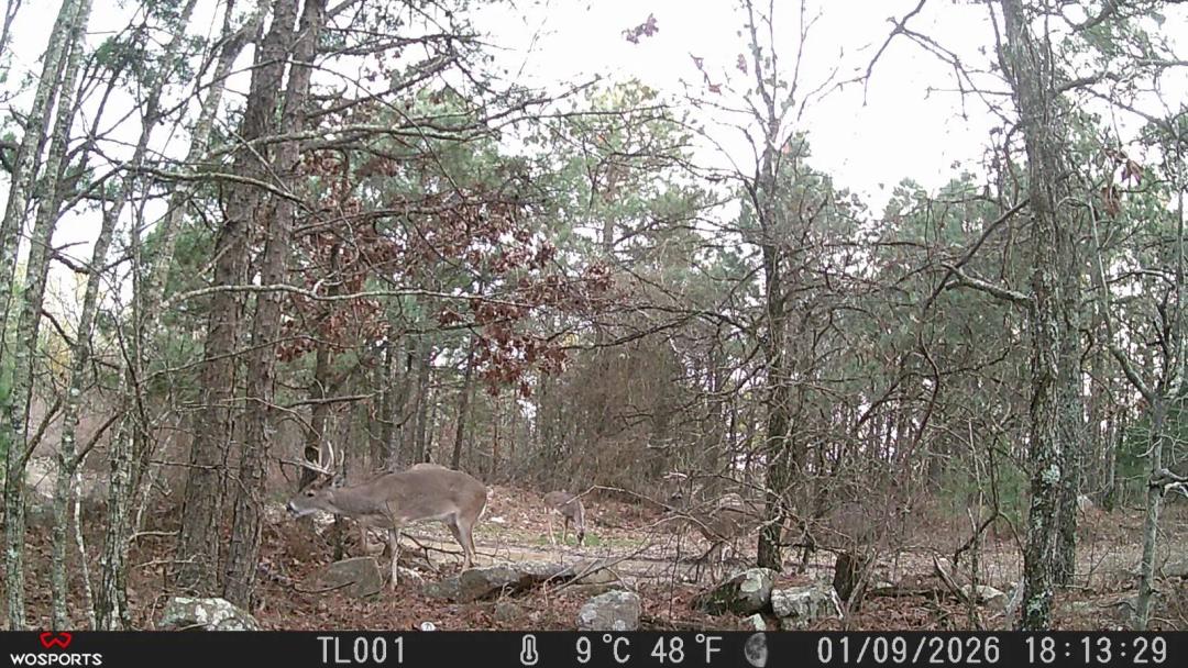 KTrail Mountain Property