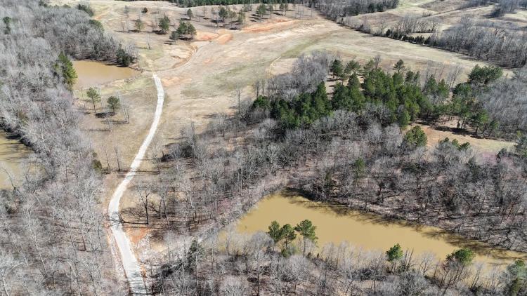 37.21 Acres in Hardeman County, TN 