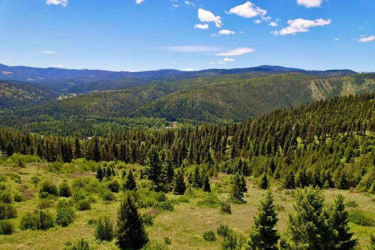 Vital Blackfoot Valley Vision