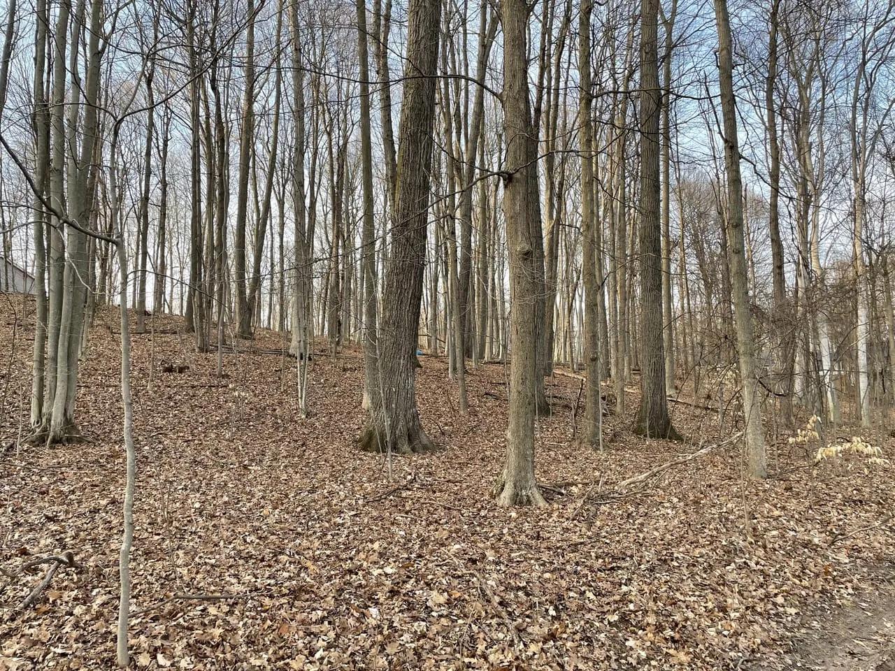 47449437-24