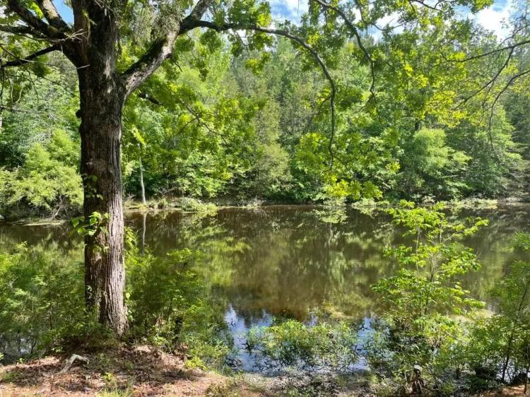 +/- 14.27 Acres on 3864 Lincoln Road Lot 3 in Gray Court, SC