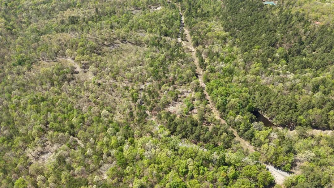 13.67 Acres in Polk County, AR 