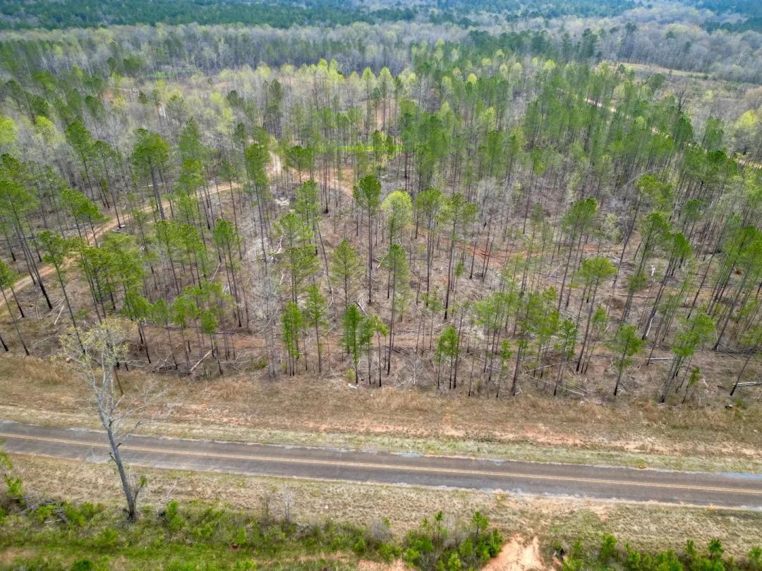 Walnut Creek Farm | 72 +/- Acres in Chambers County