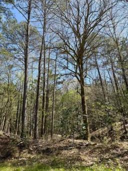 80 AC Lower Woodville Pic 12