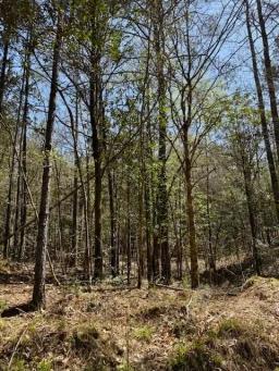 80 AC Lower Woodville Pic 15