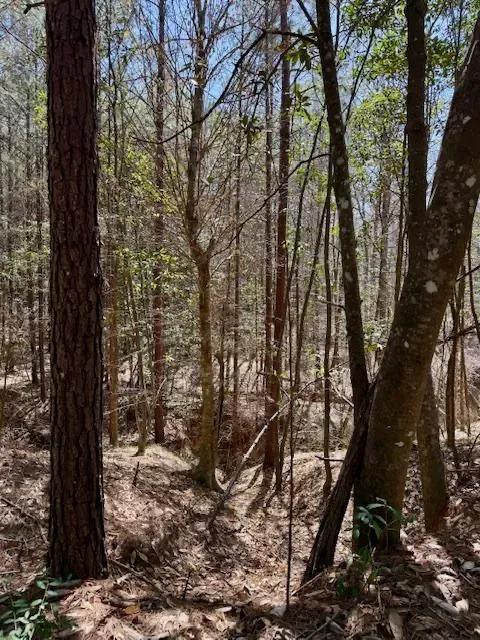 80 AC Lower Woodville Pic 20