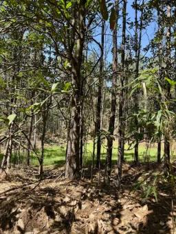 80 AC Lower Woodville Pic 25
