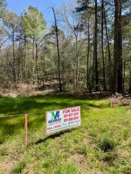80 AC Lower Woodville Pic 3