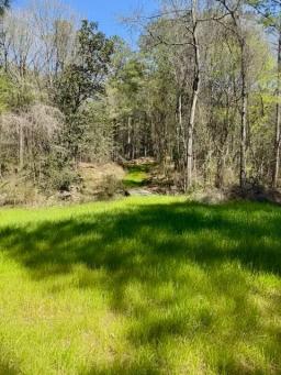 80 AC Lower Woodville Pic 5