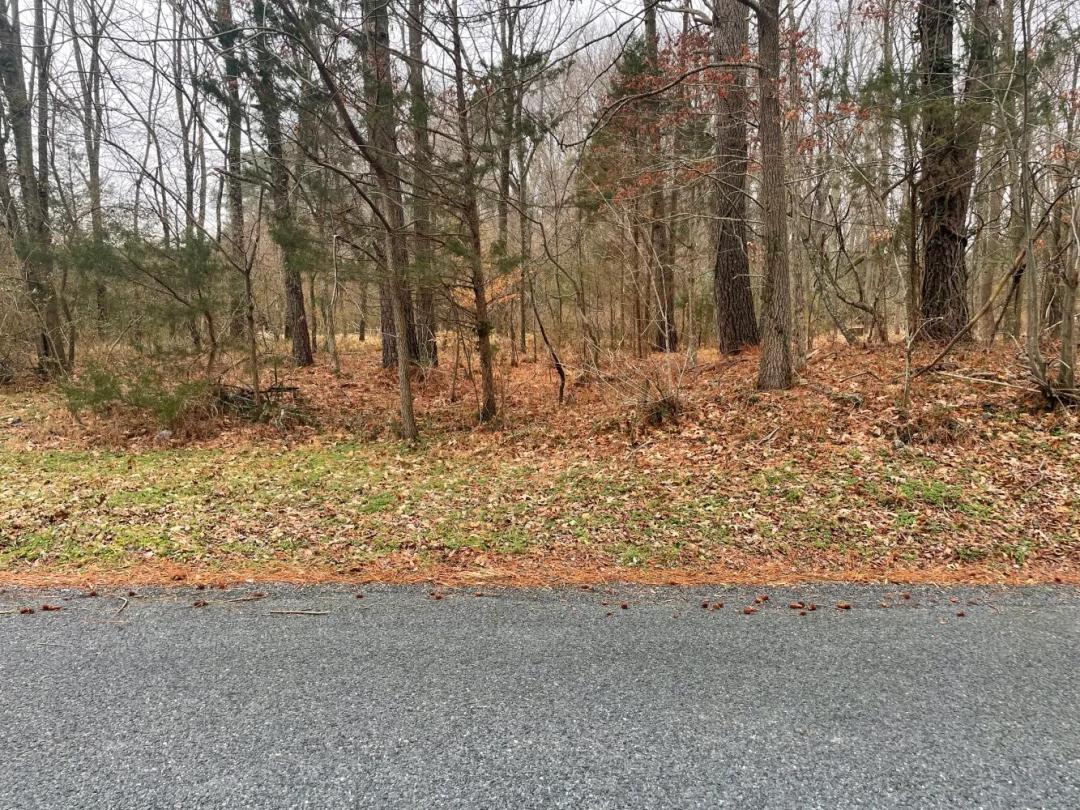 1.10 Acres at 0 Wetipquin Rd