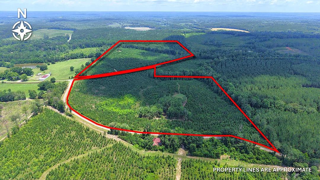 76.56 in Acres Bullock County, AL 