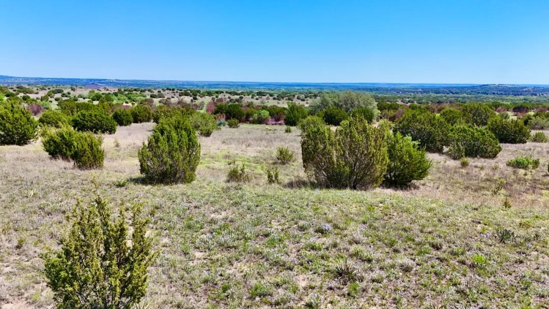 30 Acres | Lometa, TX | Build Sites with Long Range Views
