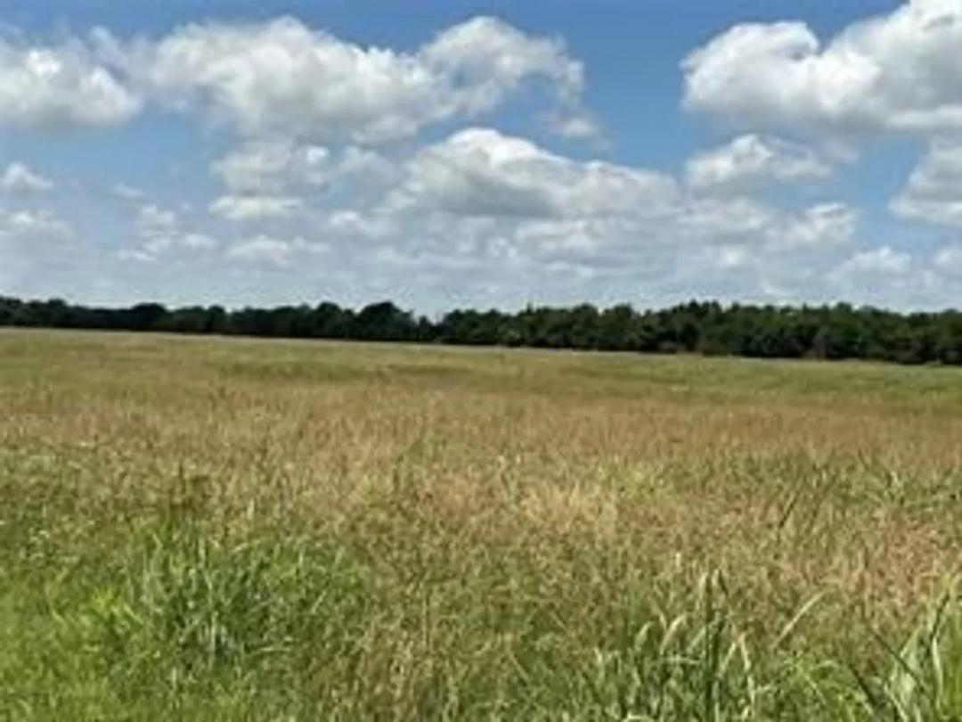 TBD Vz CR 3815, Wills Point, TX 75169 FOR SALE