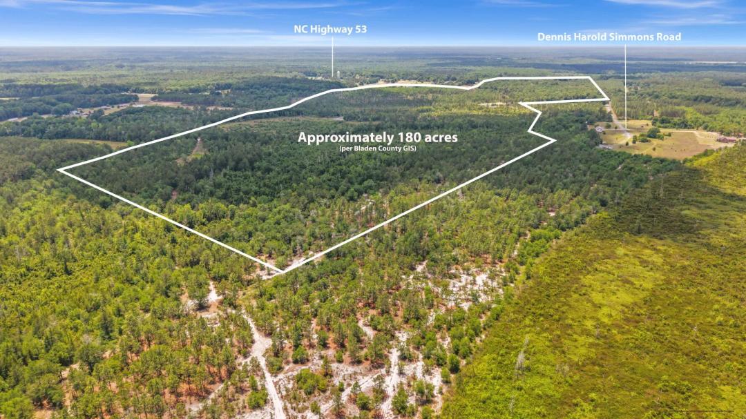 180.00 Acres at 0 Dennis Harold Simmons Road