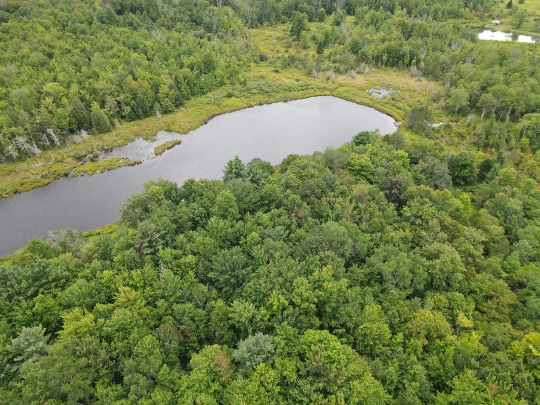 BEAUTIFUL CATSKILL/WINDHAM MOUNTAIN WATERFRONT