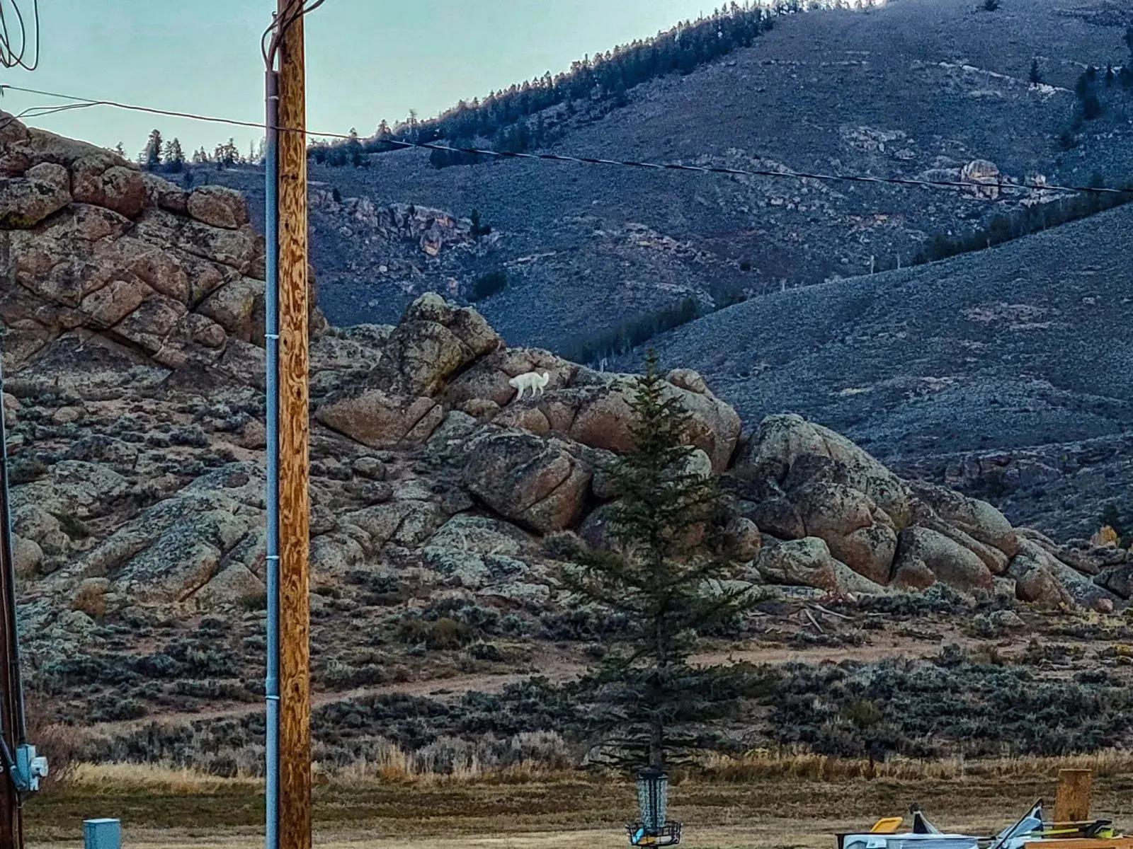 47585711-15