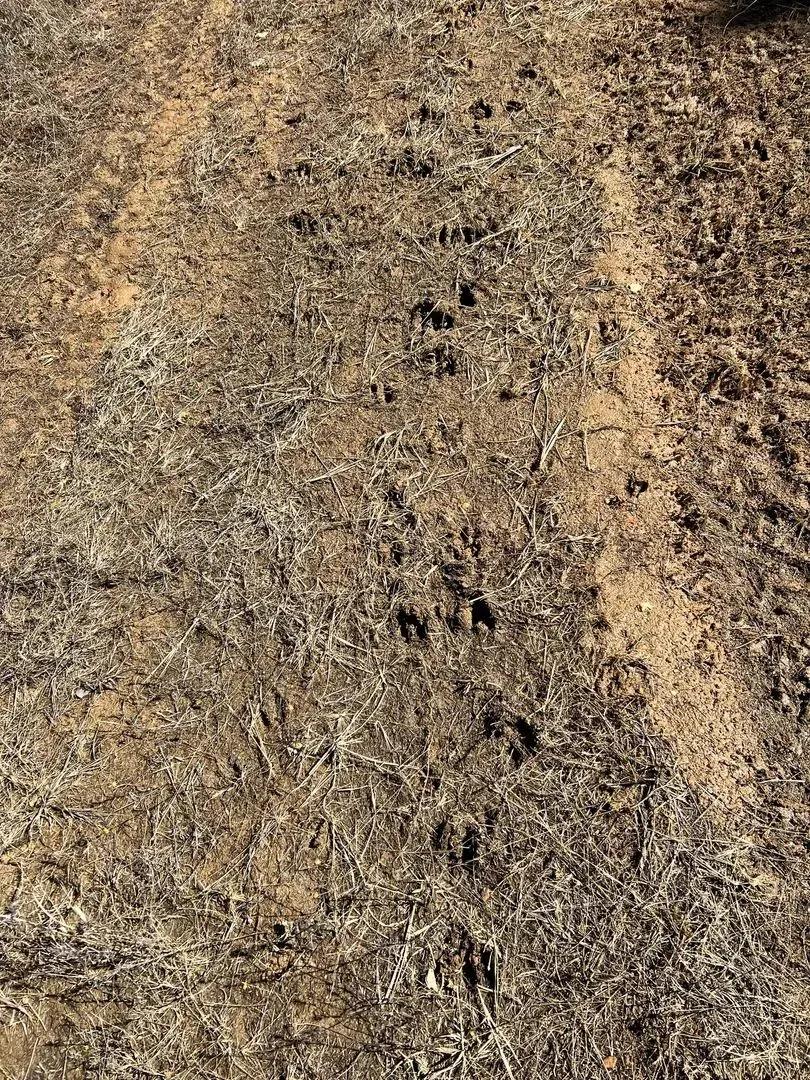 47593849-11