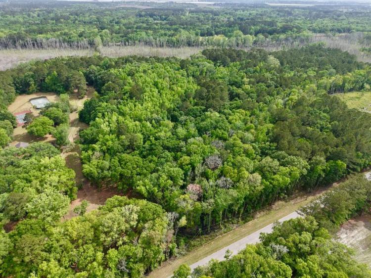 Beaufort Seabrook Hunting &amp; Recreational Land