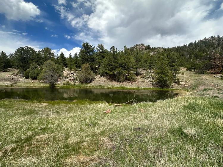 Sunrise Ridge Ranch