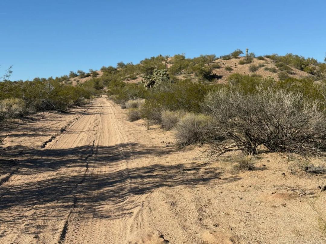 800.00 Acres at 1111 Alamo Rd