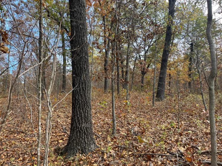 3.5 Serene Acres in Camden County Missouri
