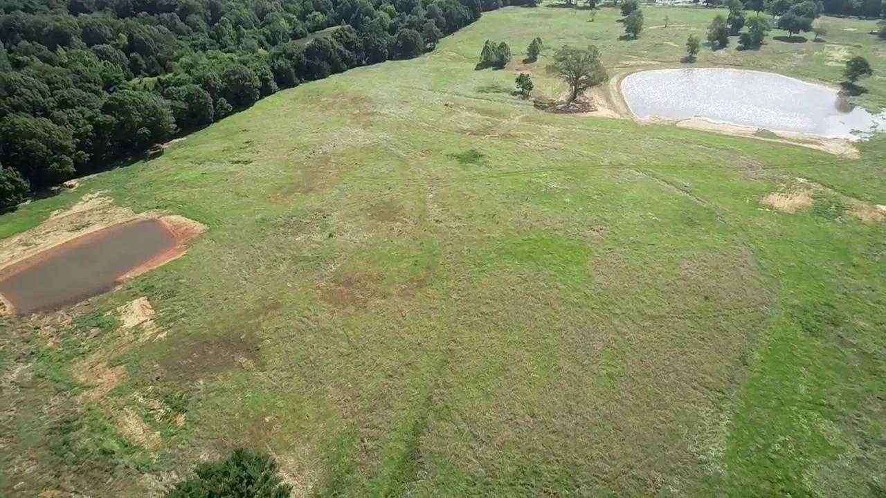 47668599-13