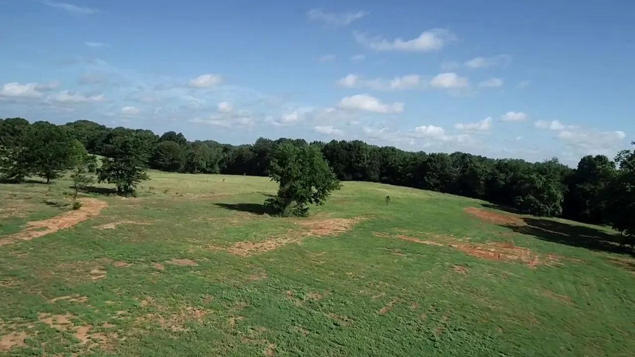 47668599-2