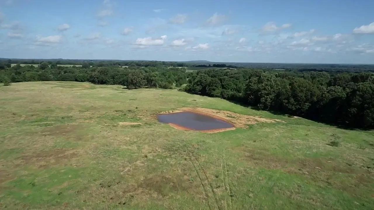 47668599-8