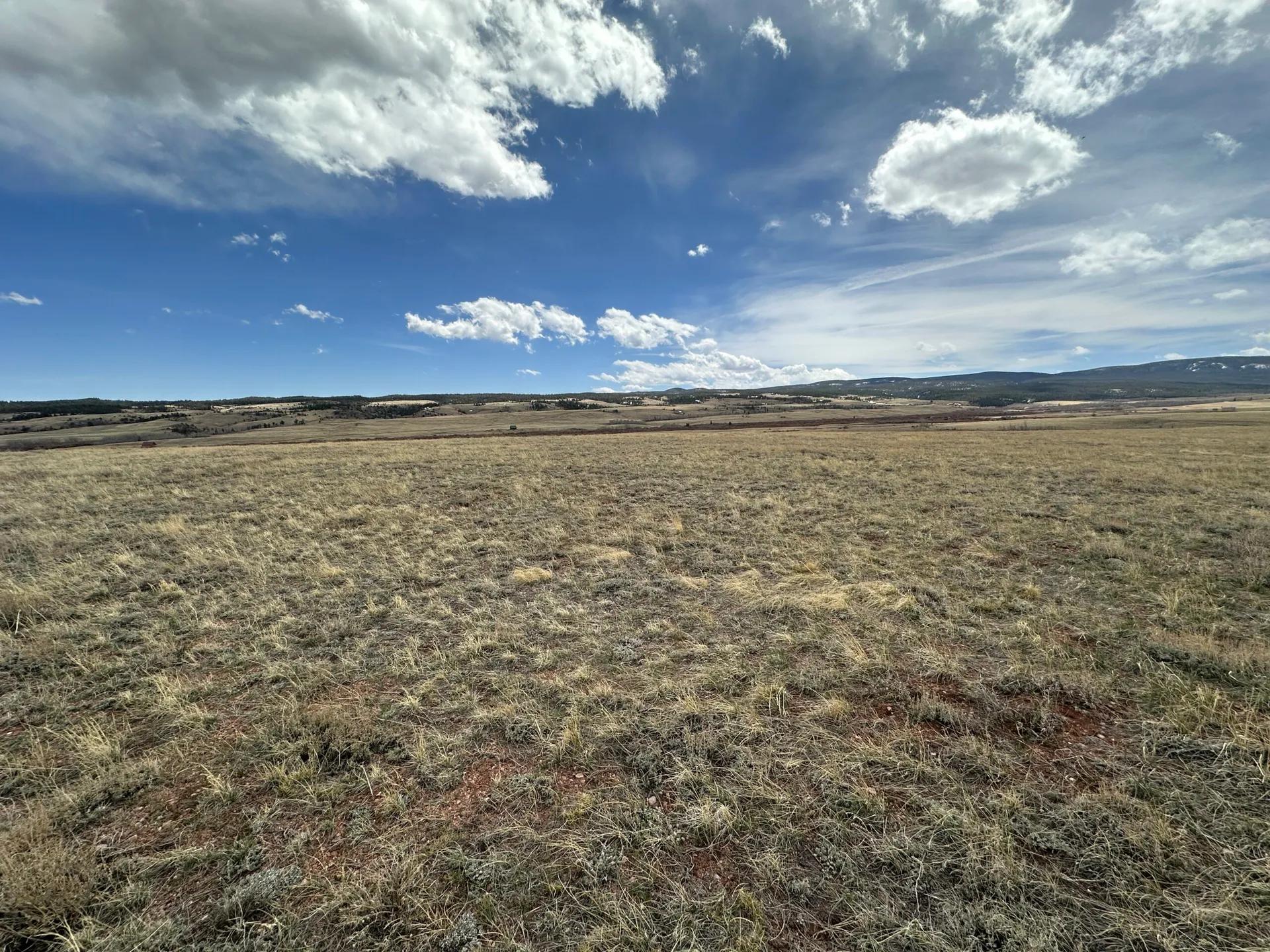 47672382-16