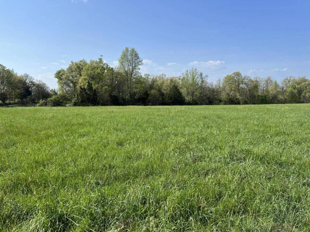 42.20 Acres at 12257 Y-521 Road