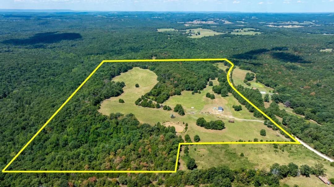 Your Future Farm Awaits | 87± Acre Cattle & Hunting Farm with Home Near Cave City, Arkansas