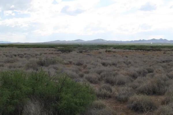 140.00 Acres at  Off of Hwy 11 and S Pie st