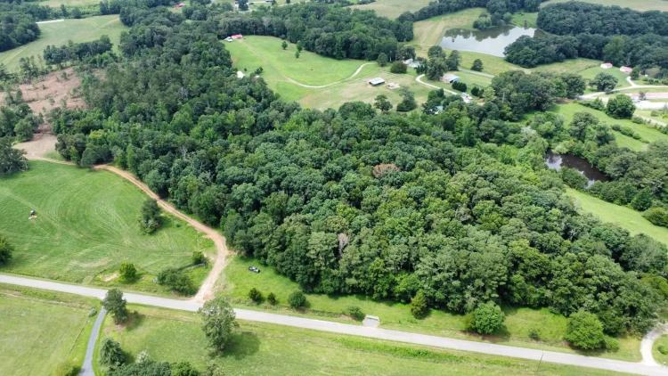 11+/- Acres in Ranburne with Homesite, Hardwoods, and Creek