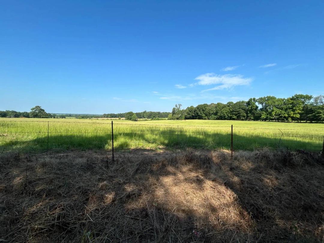 20± Acres at Auction | Level Land • Utilities Available • Aug. 8