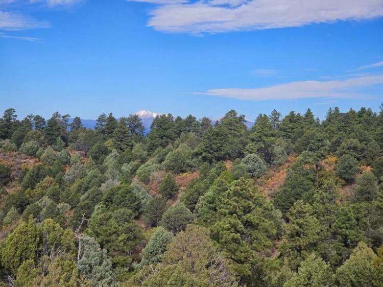 B15 Santa Fe Trail Ranch