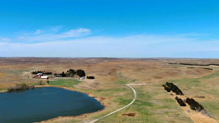 Schroeder Ranch Auction