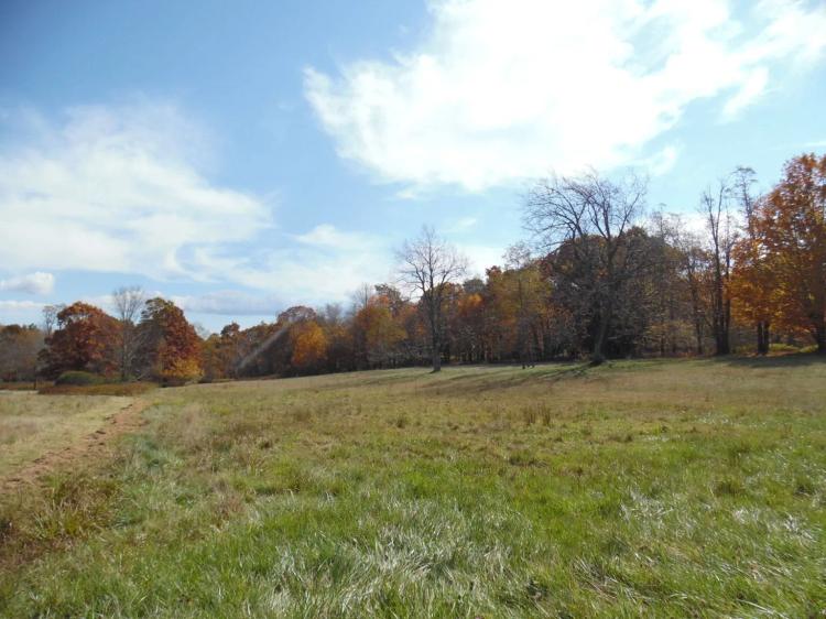  br,  bth, 27.00 Acres. Marlinton WV