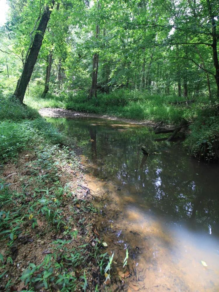 16.98 Acres at 0 NC 14 HW