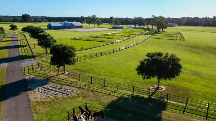373 Acres (Honor Hill Farm) in Pearl River County in Poplarville, MS 