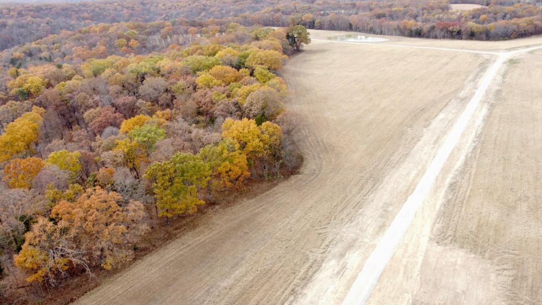 31.87 Acres at 0000 Polston Ln