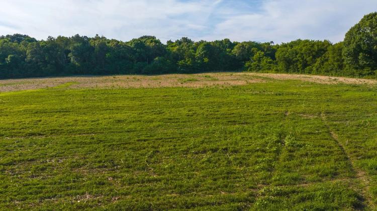 Welcome to an exceptional opportunity in the serene Midway community of Greene County