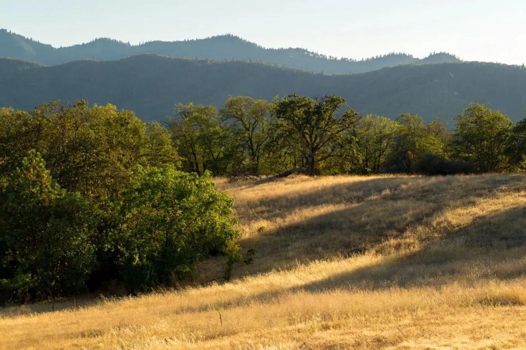 ROGUE  VALLEY  VIEW  ACREAGE