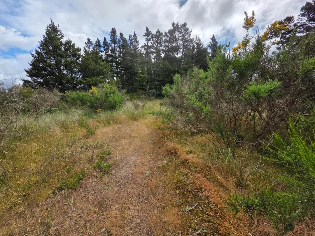 3.45 Acres - Commerical/Tourist Zone - Florence, OR