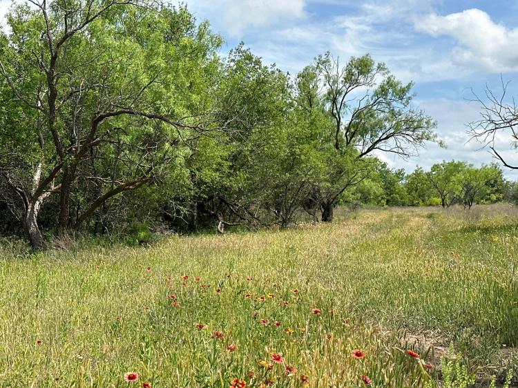 Available!! 10.5 Acres (Tract 8), Callahan County