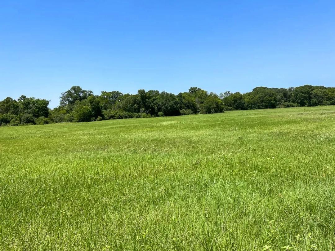 21 Acres | T-7B | Private Road