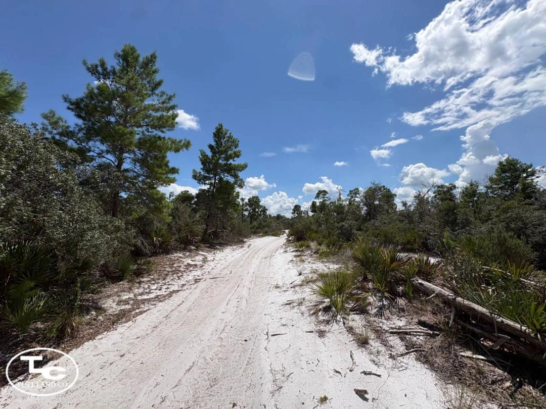 1 +/- Acre - Highlands County - Orange Blossom Lot