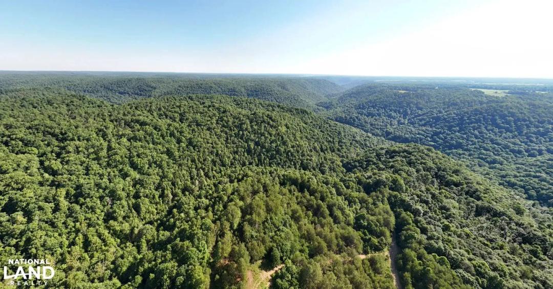 East Fork Obey River Land Tract A